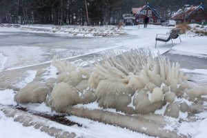 Apledijusi Nida / Kas vyksta Neringoje nuotr.