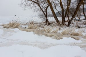 Apledijusi Nida / Kas vyksta Neringoje nuotr.