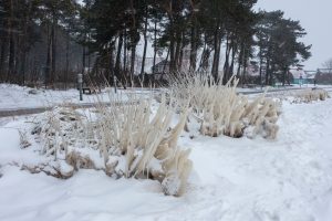 Apledijusi Nida / Kas vyksta Neringoje nuotr.