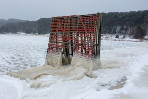 Apledijusi Nida / Kas vyksta Neringoje nuotr.