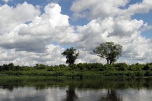 Raketa iš Kauno į Nidą / M.Patašiaus nuotr.