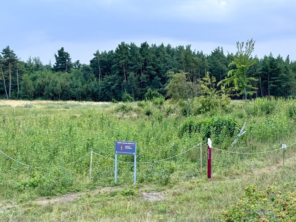 Paplūdimys Nidoje ties Grobšto rezervatu / Kas vyksta nuotr.