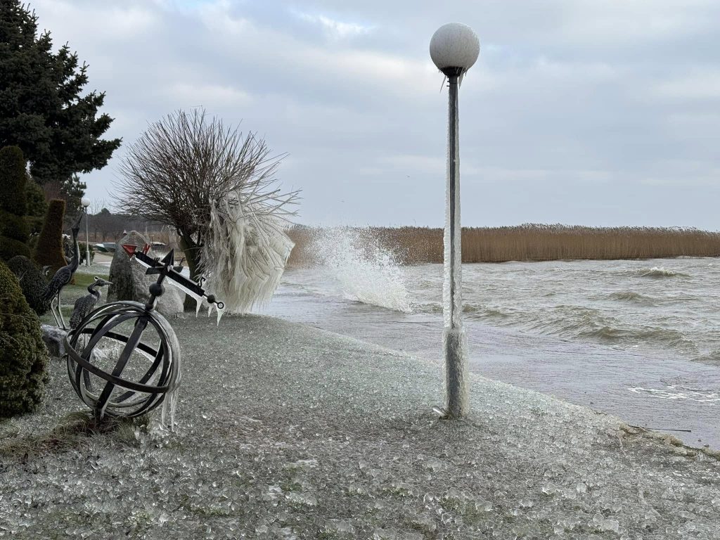 Šaltukas Kuršių marių pakrantėje / Kuršių nerijos nacionalinio parko, D. Jasaičio ir Neringos sav. soc. tinklų nuotr.