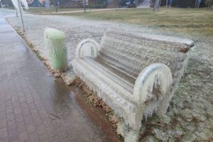 Šaltukas Kuršių marių pakrantėje / Kuršių nerijos nacionalinio parko, D. Jasaičio ir Neringos sav. soc. tinklų nuotr.