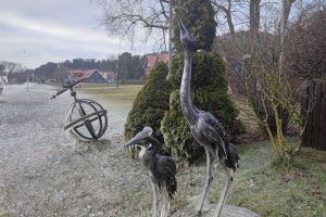 Šaltukas Kuršių marių pakrantėje / Kuršių nerijos nacionalinio parko, D. Jasaičio ir Neringos sav. soc. tinklų nuotr.