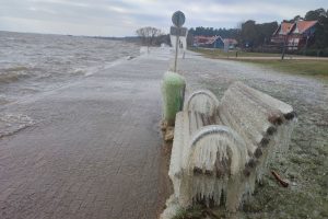 Šaltukas Kuršių marių pakrantėje / Kuršių nerijos nacionalinio parko, D. Jasaičio ir Neringos sav. soc. tinklų nuotr.