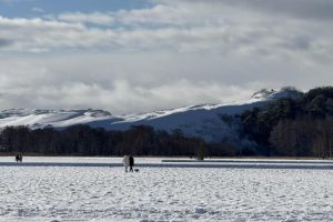 Žiemiška Neringa skaitytojų akimis / skaitytojų nuotr.