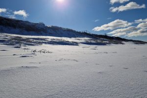 Žiemiška Neringa skaitytojų akimis / skaitytojų nuotr.