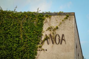 „Nidos bangos“ rekonstrukcija (S. Igoninaitės nuotr.)